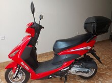 Moped, 2020 il