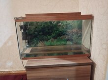 Akvarium