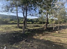 30 sot torpaq sahəsi, Quba r.