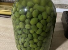 Zeytun tutması