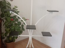 Dibçək altılığı