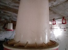 Toyuq ferması qabları 
