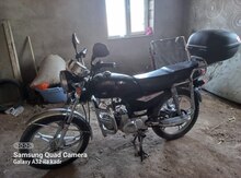 Moped, 2019 il
