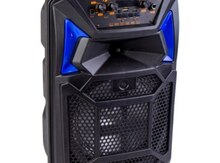 Bluetooth karaoke dinamik