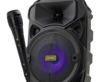 Bluetooth karaoke dinamik