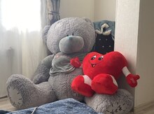 "Teddy" ayı