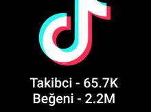 "Tiktok" səhifəsi 