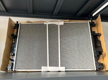 "Ford Fusion" su radiatoru
