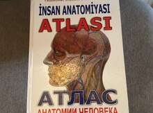 Kitab "İnsan anatomiyası"