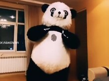 Panda kostyumu