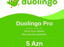 "Duolingo Pro" proqramı