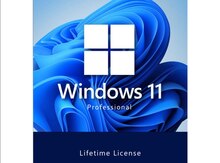 "Windows 10/11 Pro" lisenziyaları