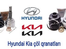 "Hyundai/Kia" çöl oynaqlı birləşmə