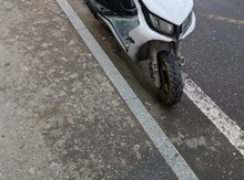 Moped 2020 il icarəsi