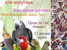 Зерновая смесь для попугаев