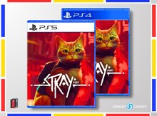 PS4 və PS5 üçün "Stray" oyunu