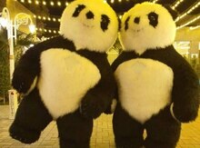 Panda və karnaval personajları
