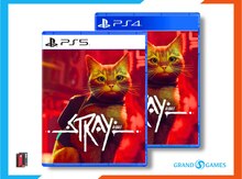 PS4 və PS5 üçün "Stray" oyunu