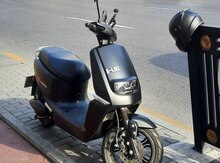 Moped, 2021 il 