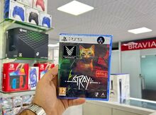 PS5 üçün "Stray" oyunu