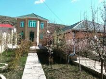 Həyət evi kirayə verilir, Avaxıl kəndi