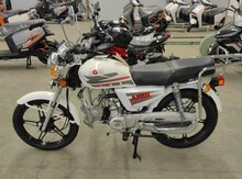 Moped "Moon ZX-AF49 50" 2023 il