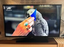Televizor "Samsung"