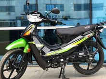 Moped "Moon Zx50", 2024 il 
