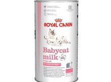 Pişik Ana Südü Royal Canin "Babycat"
