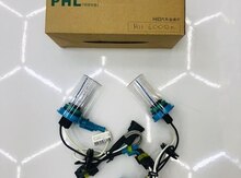 “H11 4300K / 6000K” ksenon lampaları