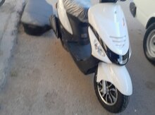 Moped Xroad, 2024 il