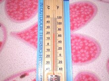 Taxta termometr 