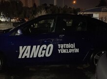 Yango reklamı