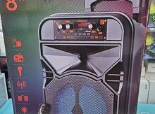 Karaoke bluetooth mikrofonlu dinamik 