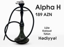 Qəlyan "Alpha H"