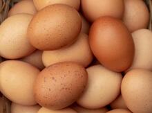 Mayalı yumurtalar