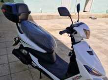 Moped "Mondail", 2023 il