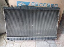"Daewoo Gentra" su radiatoru