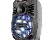 Bluetooth mikrofonlu karaoke dinamik