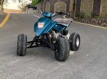 ATV Yamaha, 2016 il