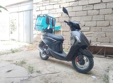 Moped, 2022 il 