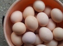 Mayalı yumurta