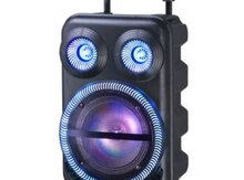 Bluetooth mikrafonlu karaoke dinamik