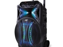Bluetooth mikrofonlu karaoke dinamik 