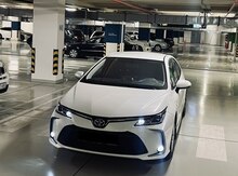 Toyota Corolla, 2019 il