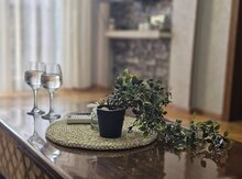 3-otaqlı yeni tikili kirayə verilir, Vladislav Plotnikov küç, 85 m²