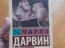Kitab