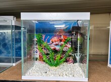 Akvarium