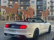 "Mustang" icarəsi