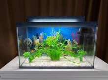 Akvarium